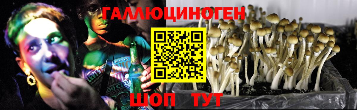 Галлюциногенные грибы Magic Shrooms  Галлюциногенные грибы ЛСД  Мурманск  Вход с VPN 